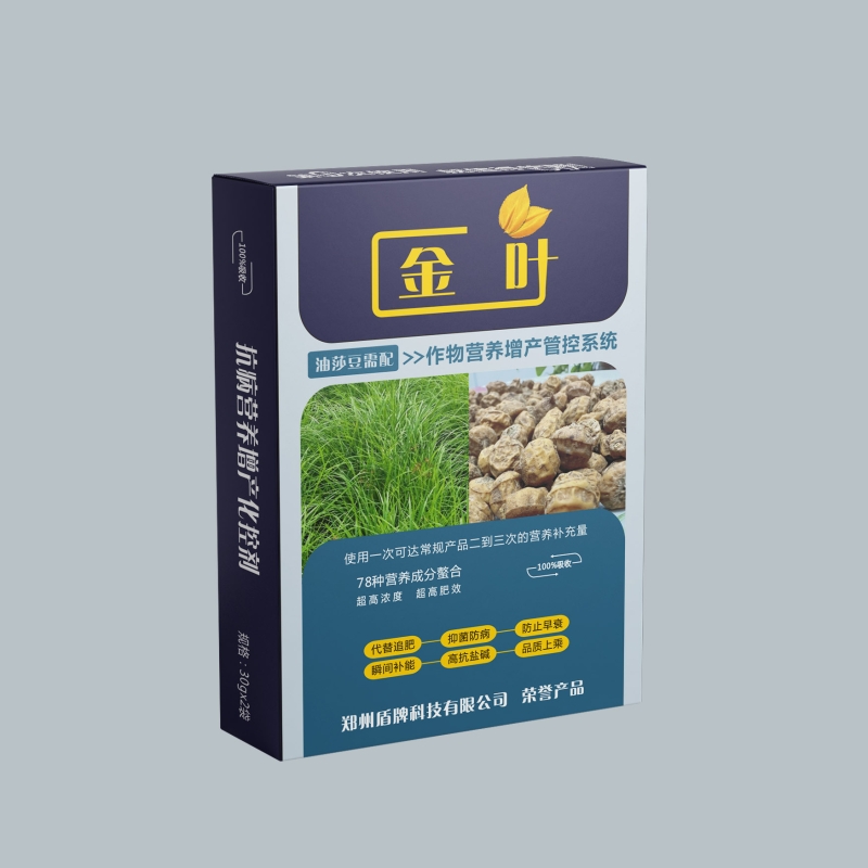 油莎豆