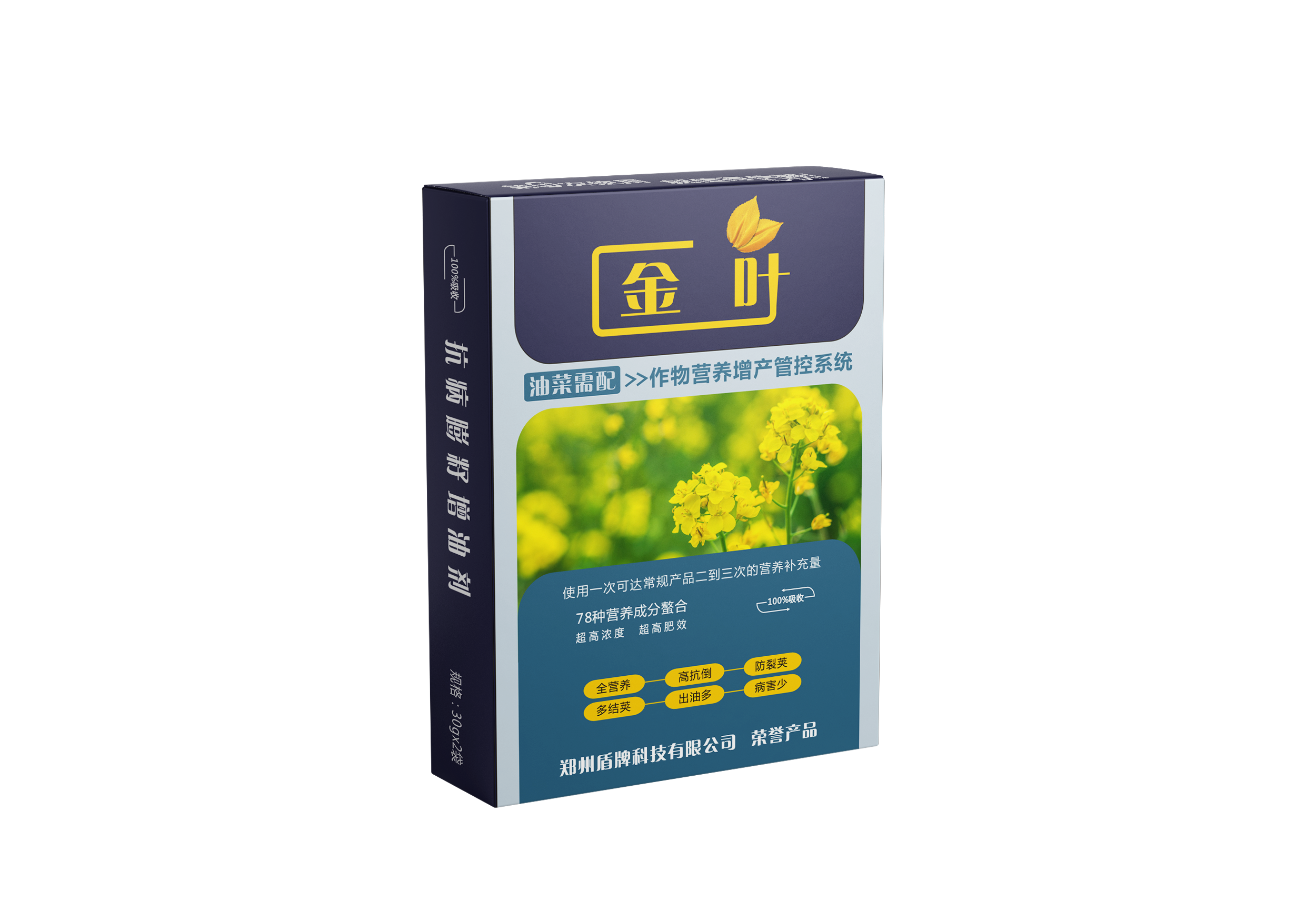 金叶油菜