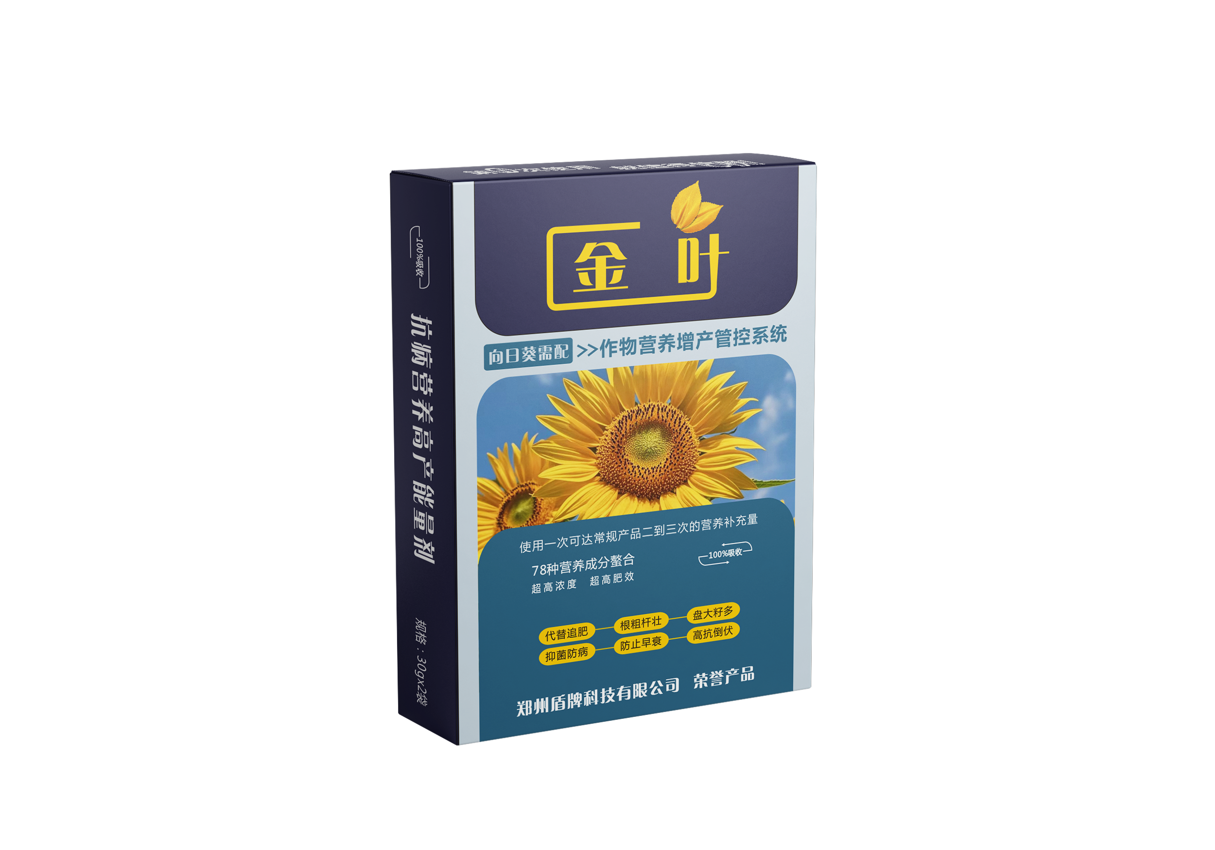 金叶向日葵